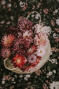 Preview wallpaper flowers, basket, bouquet, composition, autumn