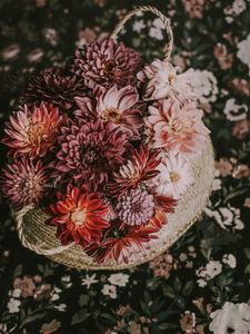 Preview wallpaper flowers, basket, bouquet, composition, autumn