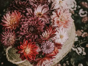 Preview wallpaper flowers, basket, bouquet, composition, autumn