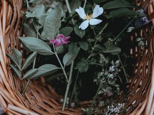 Preview wallpaper flowers, basket, leaves