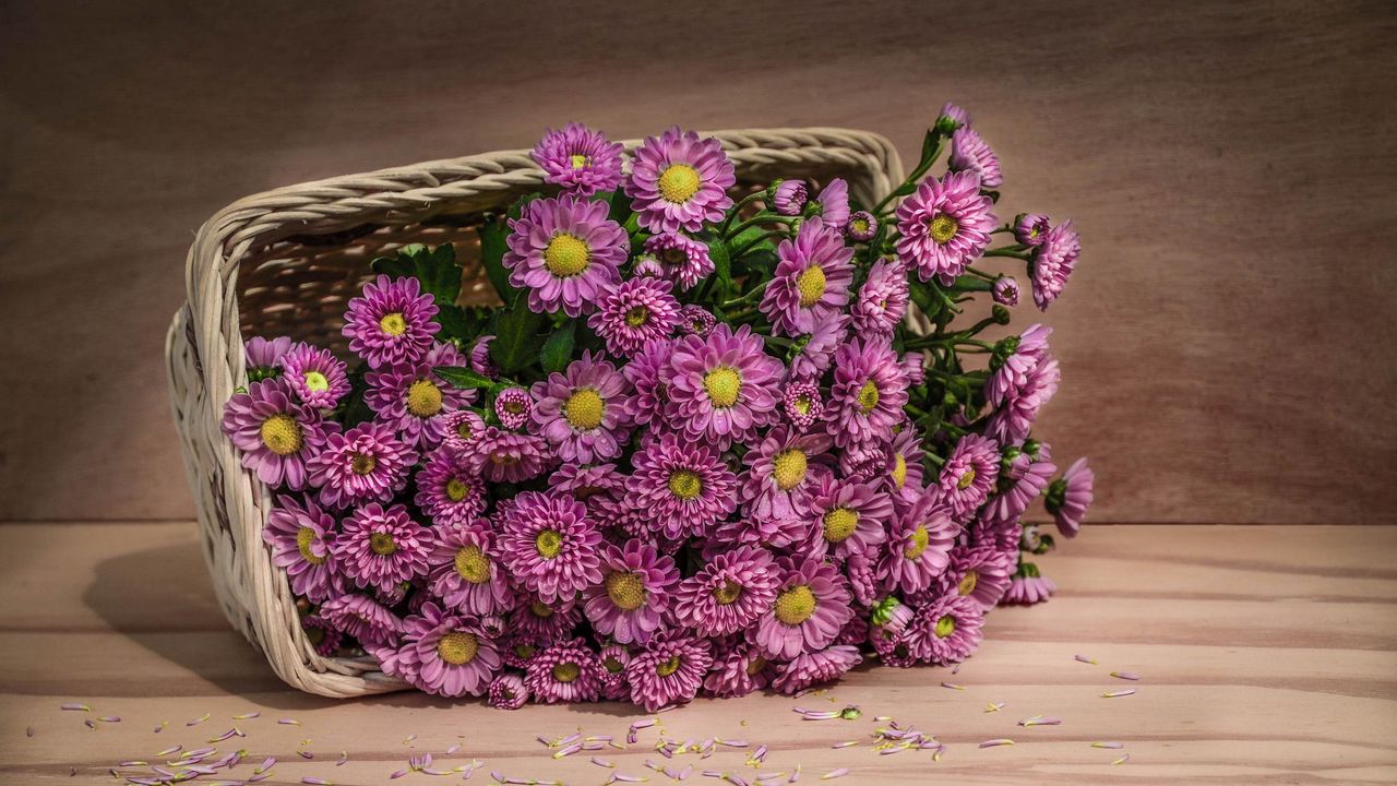 Wallpaper flowers, basket, petals