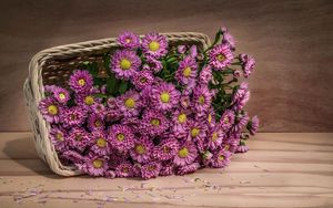 Preview wallpaper flowers, basket, petals