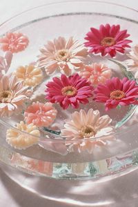Preview wallpaper flowers, bath, bright, glass