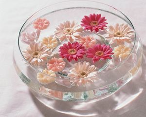 Preview wallpaper flowers, bath, bright, glass