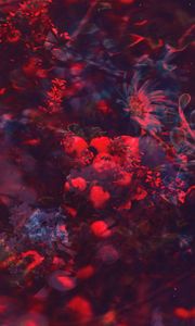 Preview wallpaper flowers, berries, branches, blur, collage