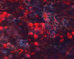 Preview wallpaper flowers, berries, branches, blur, collage