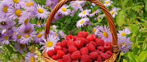 Preview wallpaper flowers, berries, raspberries, basket