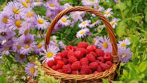 Preview wallpaper flowers, berries, raspberries, basket