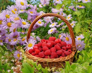 Preview wallpaper flowers, berries, raspberries, basket