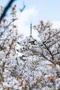 Preview wallpaper flowers, bloom, architecture, building