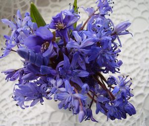 Preview wallpaper flowers, blue, bouquet, doily