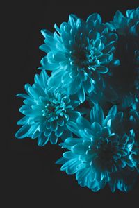 Preview wallpaper flowers, blue, petals, bouquet