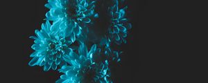 Preview wallpaper flowers, blue, petals, bouquet