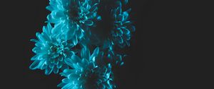 Preview wallpaper flowers, blue, petals, bouquet