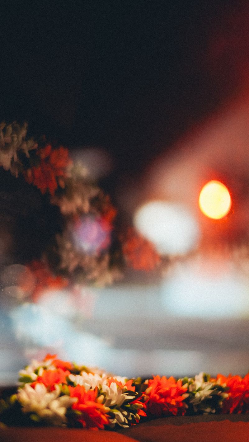 800x1420 Wallpaper flowers, blur, bokeh, petals