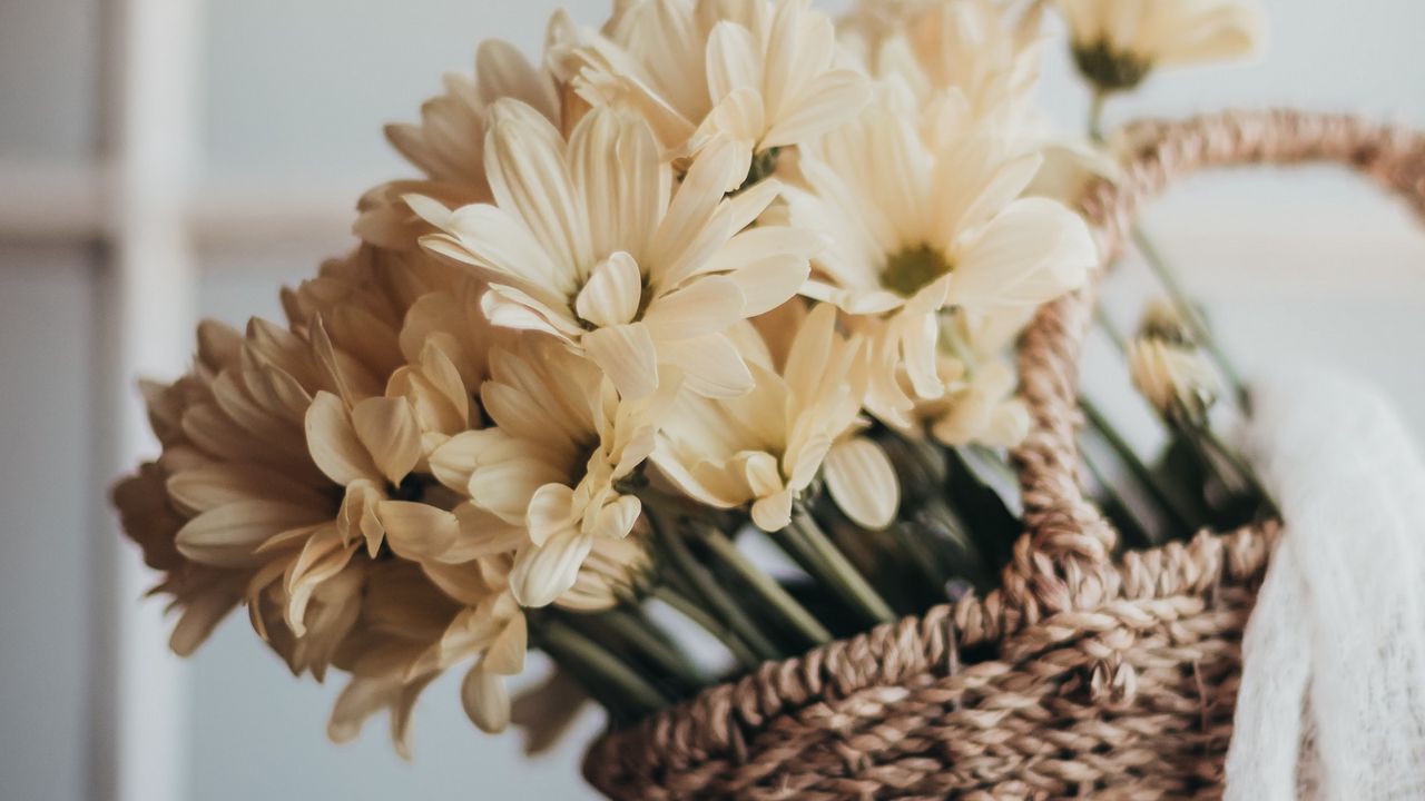 Wallpaper flowers, bouquet, basket, yellow