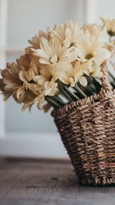 Preview wallpaper flowers, bouquet, basket, yellow