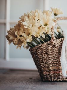 Preview wallpaper flowers, bouquet, basket, yellow