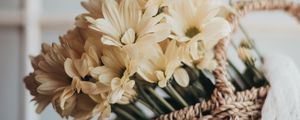 Preview wallpaper flowers, bouquet, basket, yellow