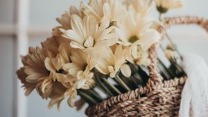 Preview wallpaper flowers, bouquet, basket, yellow