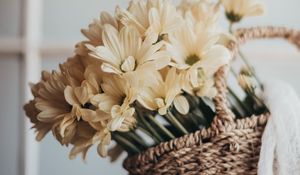 Preview wallpaper flowers, bouquet, basket, yellow