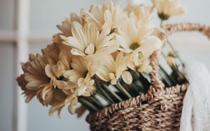 Preview wallpaper flowers, bouquet, basket, yellow