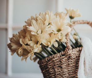 Preview wallpaper flowers, bouquet, basket, yellow