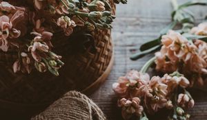 Preview wallpaper flowers, bouquet, basket, threads