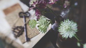 Preview wallpaper flowers, bouquet, blur