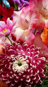 Preview wallpaper flowers, bouquet, bright, beautiful