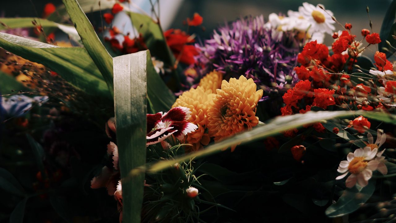 Wallpaper flowers, bouquet, castle, blur