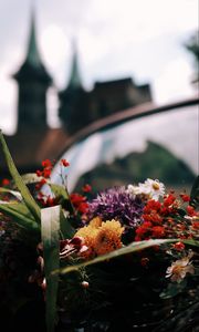 Preview wallpaper flowers, bouquet, castle, blur