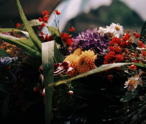 Preview wallpaper flowers, bouquet, castle, blur