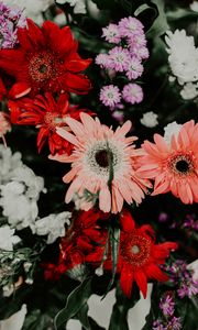 Preview wallpaper flowers, bouquet, colorful, bloom, plants