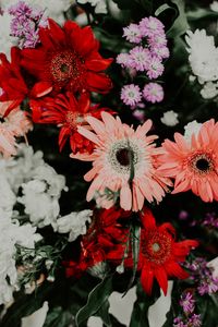 Preview wallpaper flowers, bouquet, colorful, bloom, plants