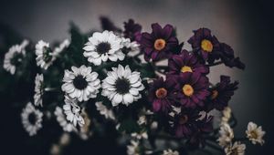 Preview wallpaper flowers, bouquet, composition
