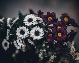 Preview wallpaper flowers, bouquet, composition