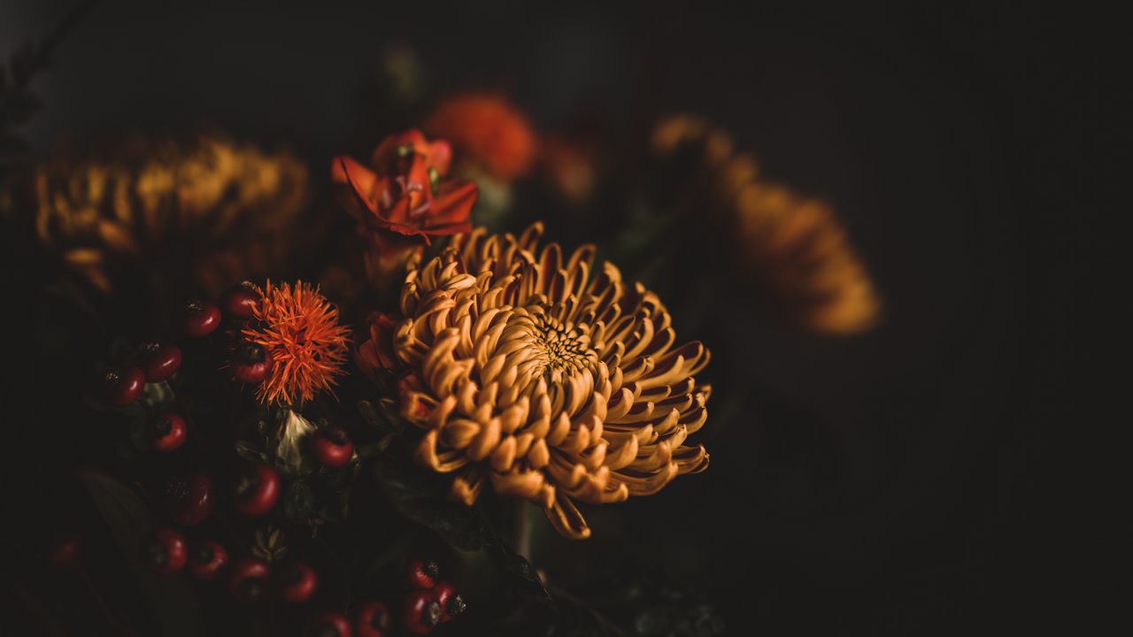 Wallpaper flowers, bouquet, composition, dark