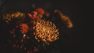 Preview wallpaper flowers, bouquet, composition, dark