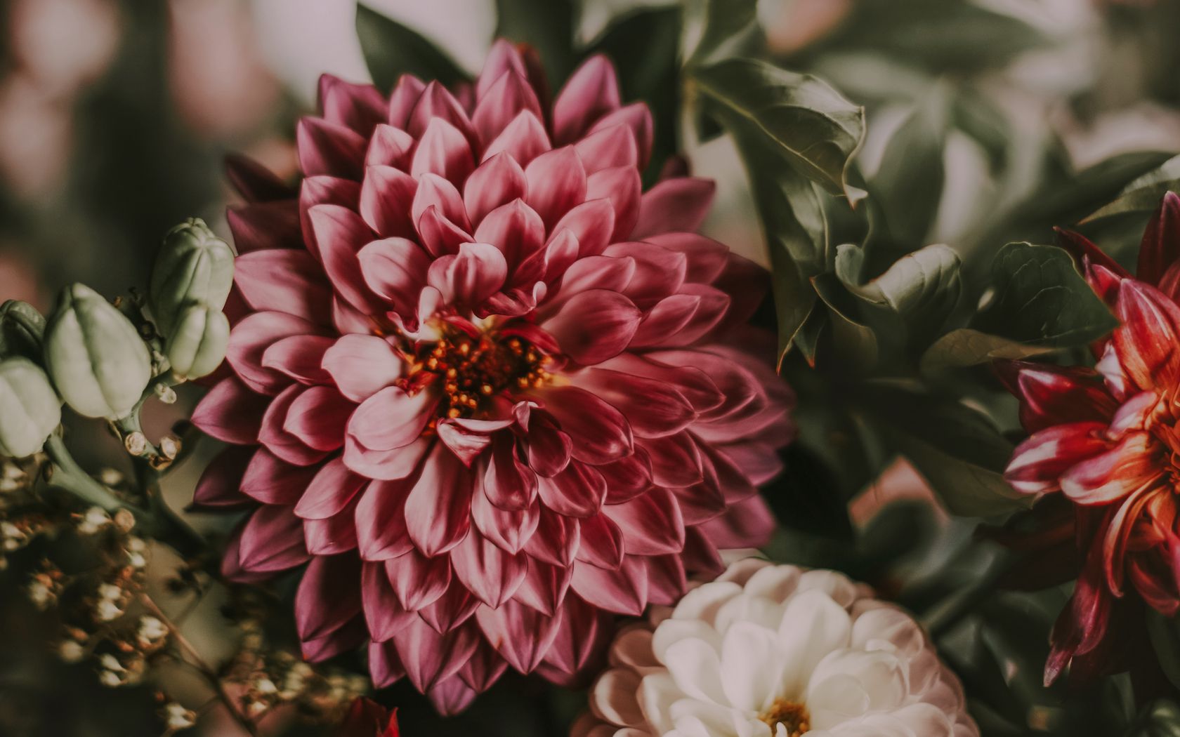 1680x1050 Wallpaper flowers, bouquet, composition, pink