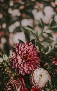 Preview wallpaper flowers, bouquet, composition, pink