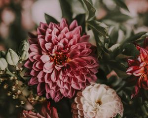 Preview wallpaper flowers, bouquet, composition, pink