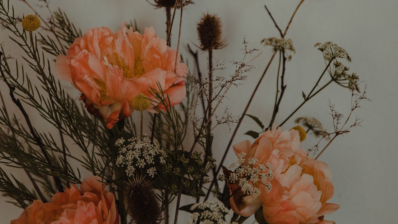 Wallpaper flowers, bouquet, composition, aesthetics