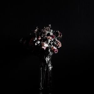 Preview wallpaper flowers, bouquet, dark
