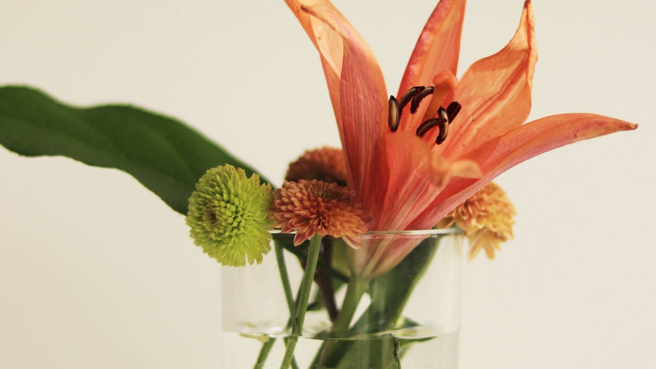 Wallpaper flowers, bouquet, glass, decor, aesthetics