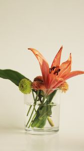 Preview wallpaper flowers, bouquet, glass, decor, aesthetics