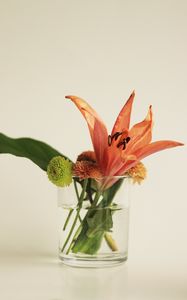 Preview wallpaper flowers, bouquet, glass, decor, aesthetics