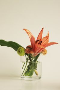 Preview wallpaper flowers, bouquet, glass, decor, aesthetics