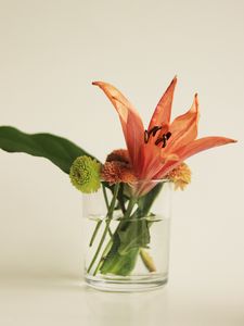 Preview wallpaper flowers, bouquet, glass, decor, aesthetics