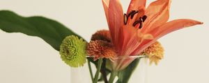 Preview wallpaper flowers, bouquet, glass, decor, aesthetics